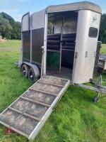 IFOR WILLIAMS 505R HUNTER HORSE TRAILER - 11