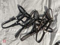 COB SIZE LEATHER HEADCOLLARS