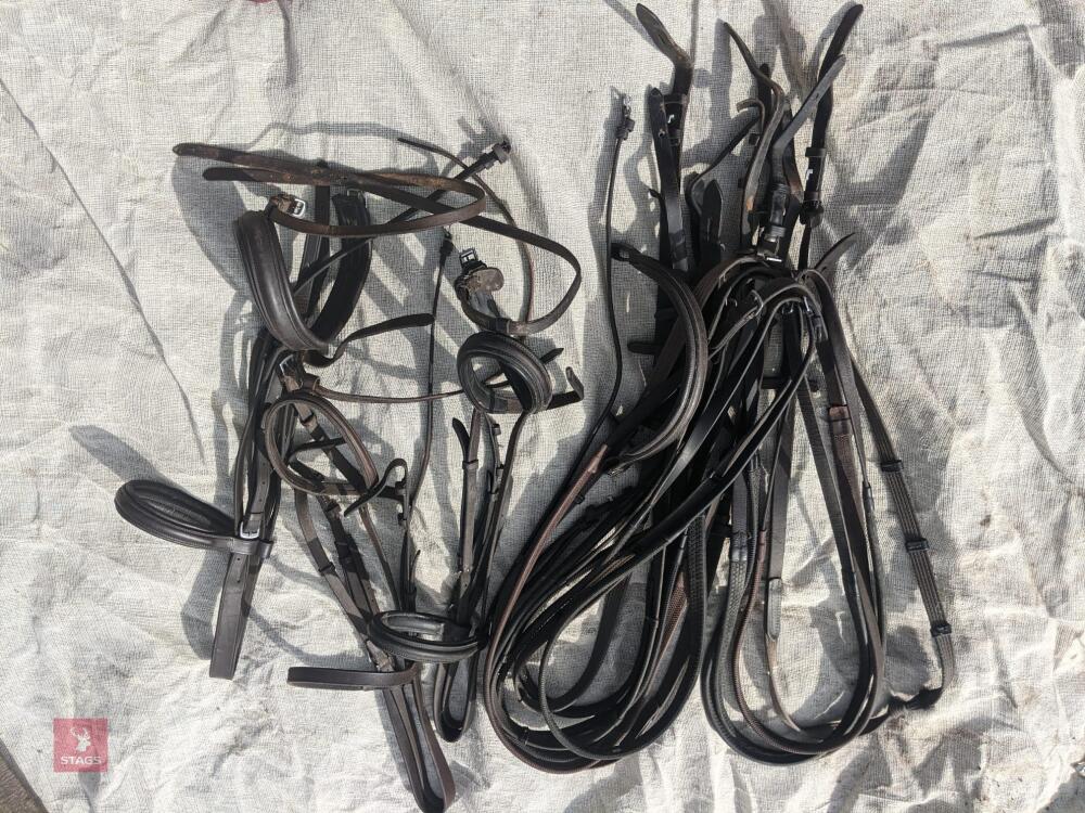 3 COB BRIDLES & 6 PAIRS REINS