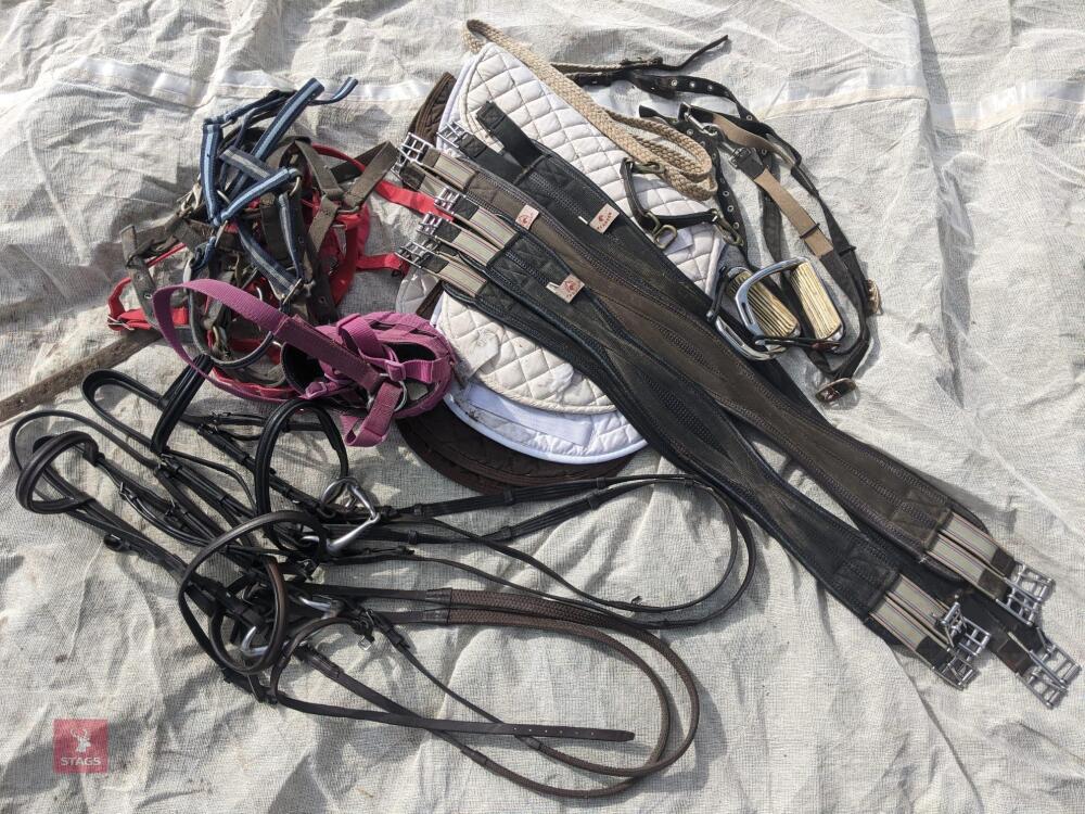 LARGE SELCTION OF PONY EQUIPMENT