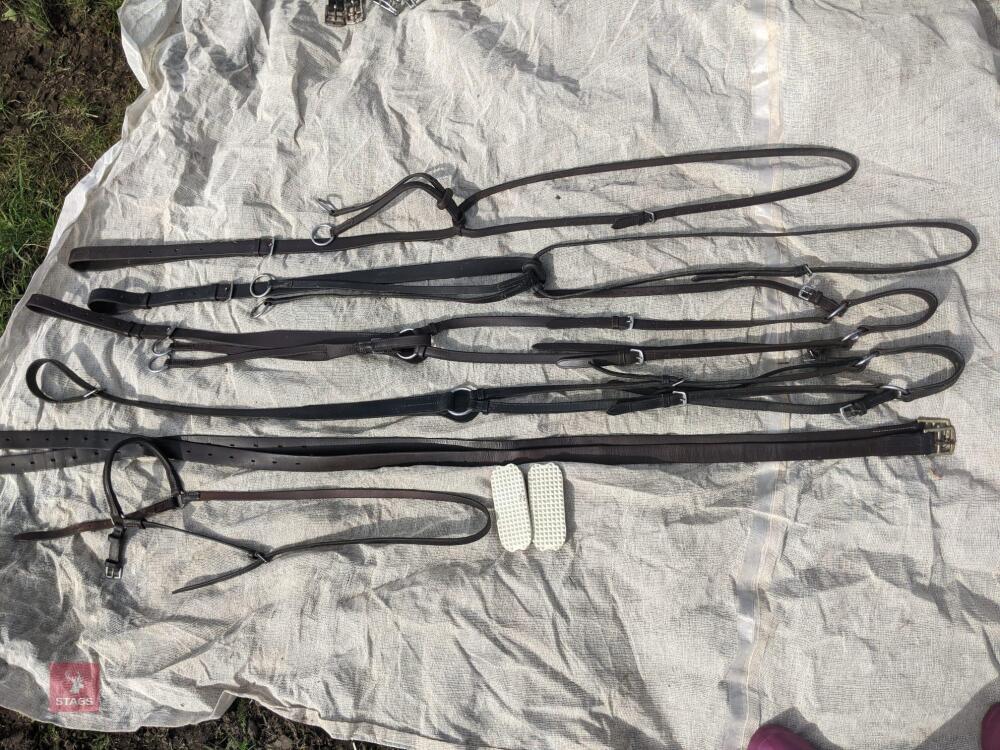 COB MARTINGALES X2 & COB BREASTPLATE