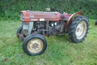 MASSEY FERGUSON 135 VINEYARD 2WD TRACTOR - 2