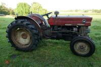 MASSEY FERGUSON 135 VINEYARD 2WD TRACTOR - 6