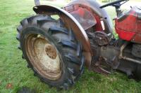 MASSEY FERGUSON 135 VINEYARD 2WD TRACTOR - 8