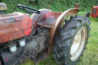 MASSEY FERGUSON 135 VINEYARD 2WD TRACTOR - 16