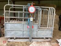 BATEMAN CATTLE CRUSH & SCALES