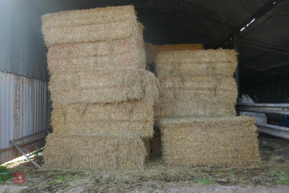 30 BALES OF 2023 STRAW (BIDS PER BALE)