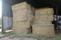 30 BALES OF 2023 STRAW (BIDS PER BALE) - 2