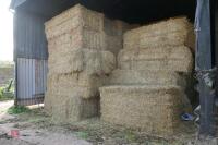 30 BALES OF 2023 STRAW (BIDS PER BALE) - 3