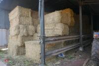 30 BALES OF 2023 STRAW (BIDS PER BALE) - 5