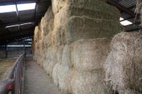 50 BALE OF 2023 HAY (BIDS PER BALE) - 2