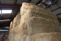 50 BALE OF 2023 HAY (BIDS PER BALE) - 3