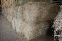 50 BALE OF 2023 HAY (BIDS PER BALE) - 4