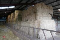 50 BALE OF 2023 HAY (BIDS PER BALE) - 5