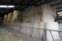 50 BALE OF 2023 HAY (BIDS PER BALE) - 6