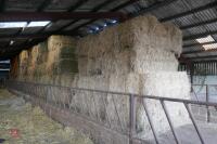 50 BALE OF 2023 HAY (BIDS PER BALE) - 7