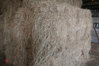 50 BALE OF 2023 HAY (BIDS PER BALE) - 9