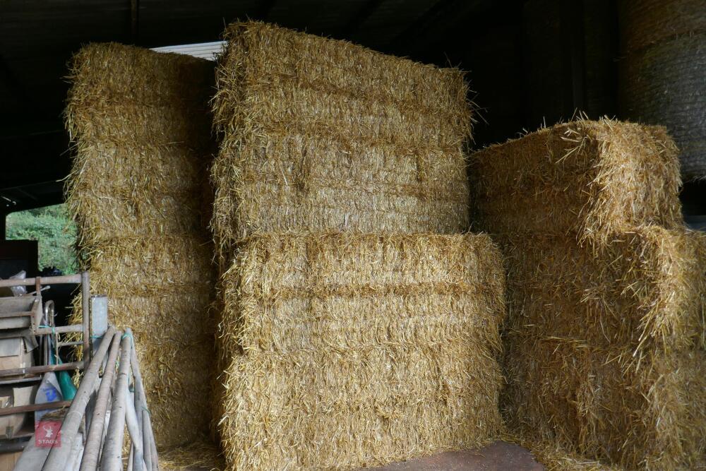 50 BALES OF 2023 BARLEY STRAW