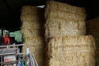 50 BALES OF 2023 BARLEY STRAW - 3