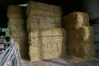 50 BALES OF 2023 BARLEY STRAW - 5