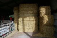 50 BALES OF 2023 BARLEY STRAW - 6