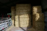 50 BALES OF 2023 BARLEY STRAW - 7