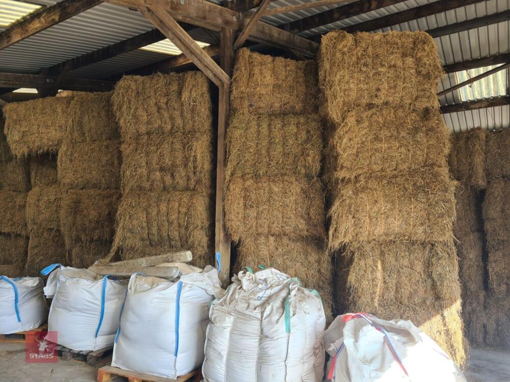 50 SQUARE BALES OF HAY