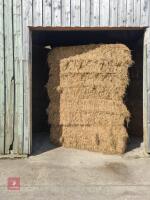 50 SQUARE BALES OF HAY - 2