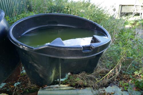 PAXTON CATTLE CIRCULAR WATER TROUGH