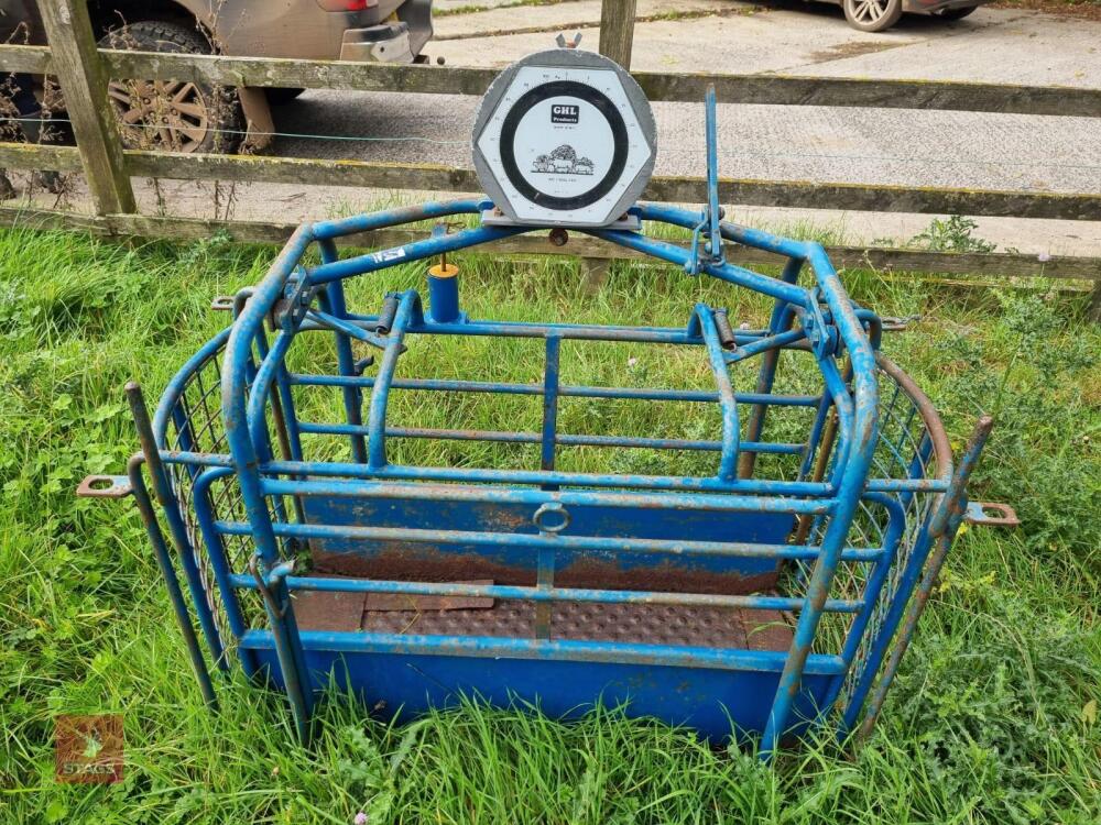 GHL LAMB WEIGH CRATE