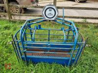 GHL LAMB WEIGH CRATE