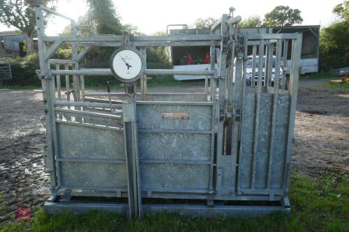 BATEMAN GALVANISED CATTLE CRUSH