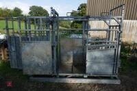 BATEMAN GALVANISED CATTLE CRUSH - 7