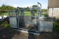 BATEMAN GALVANISED CATTLE CRUSH - 8