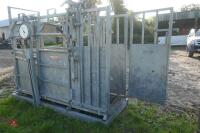 BATEMAN GALVANISED CATTLE CRUSH - 10