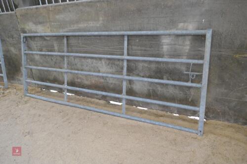 IAE 10' GLAVANISED YARD GATE (3)