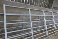 IAE 13' GALVANISED YARD GATE (5) - 6