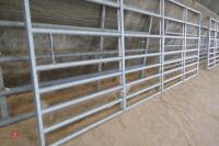 IAE 13' GALVANISED YARD GATE (6) - 3