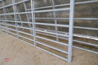 IAE 13' GALVANISED YARD GATE (6) - 5