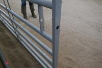 IAE 13' GALVANISED YARD GATE (6) - 6