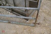 14' 6'' GALVANISED YARD GATE (8) - 4