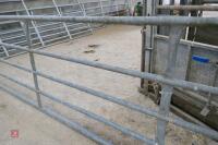 14' 6'' GALVANISED YARD GATE (8) - 6