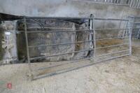 10' GALVANISED YARD GATE (12)