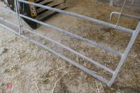 10' GALVANISED YARD GATE (12) - 8