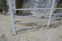 10' GALVANISED YARD GATE (13) - 5