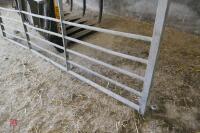 10' GALVANISED GATE (15) - 3