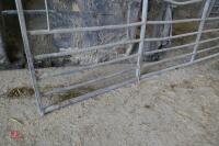 10' GALVANISED GATE (15) - 6