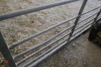 10' GALVANISED GATE (15) - 10