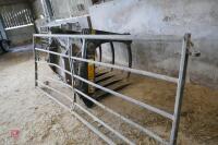 10' GALVANISED GATE (16) - 3