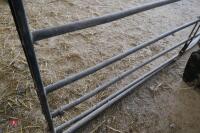 10' GALVANISED GATE (16) - 4